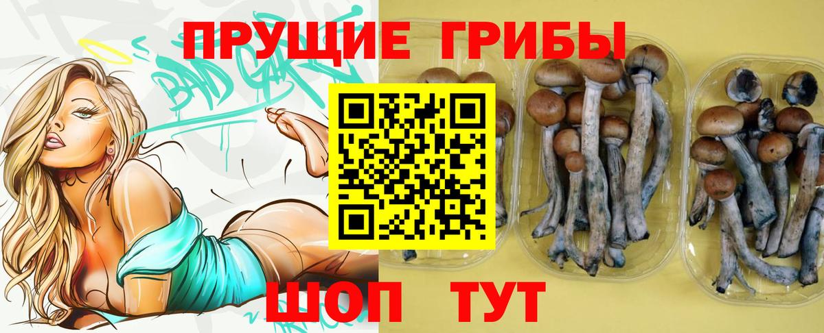 Псилоцибиновые грибы ЛСД Сальск