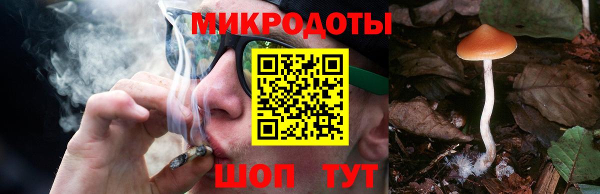 что такое наркотик  Вход с VPN  Сальск  Галлюциногенные грибы Cubensis  Галлюциногенные грибы GOLDEN TEACHER 
